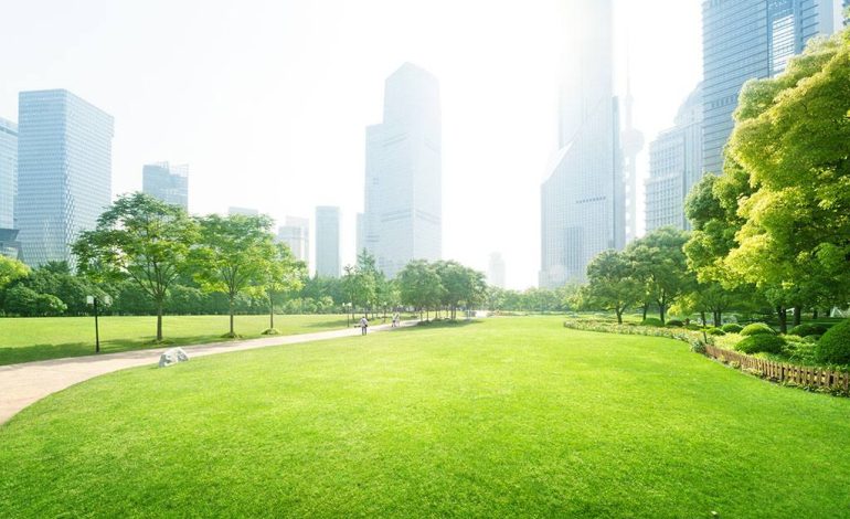 The Role of Green Infrastructure in Urban Water Management