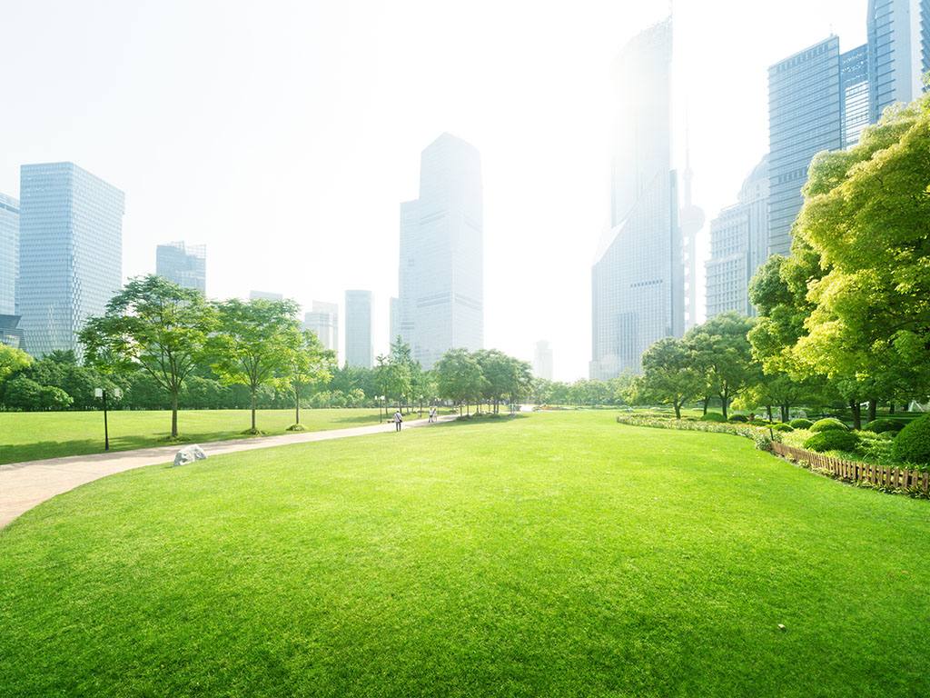 The Role of Green Infrastructure in Urban Water Management