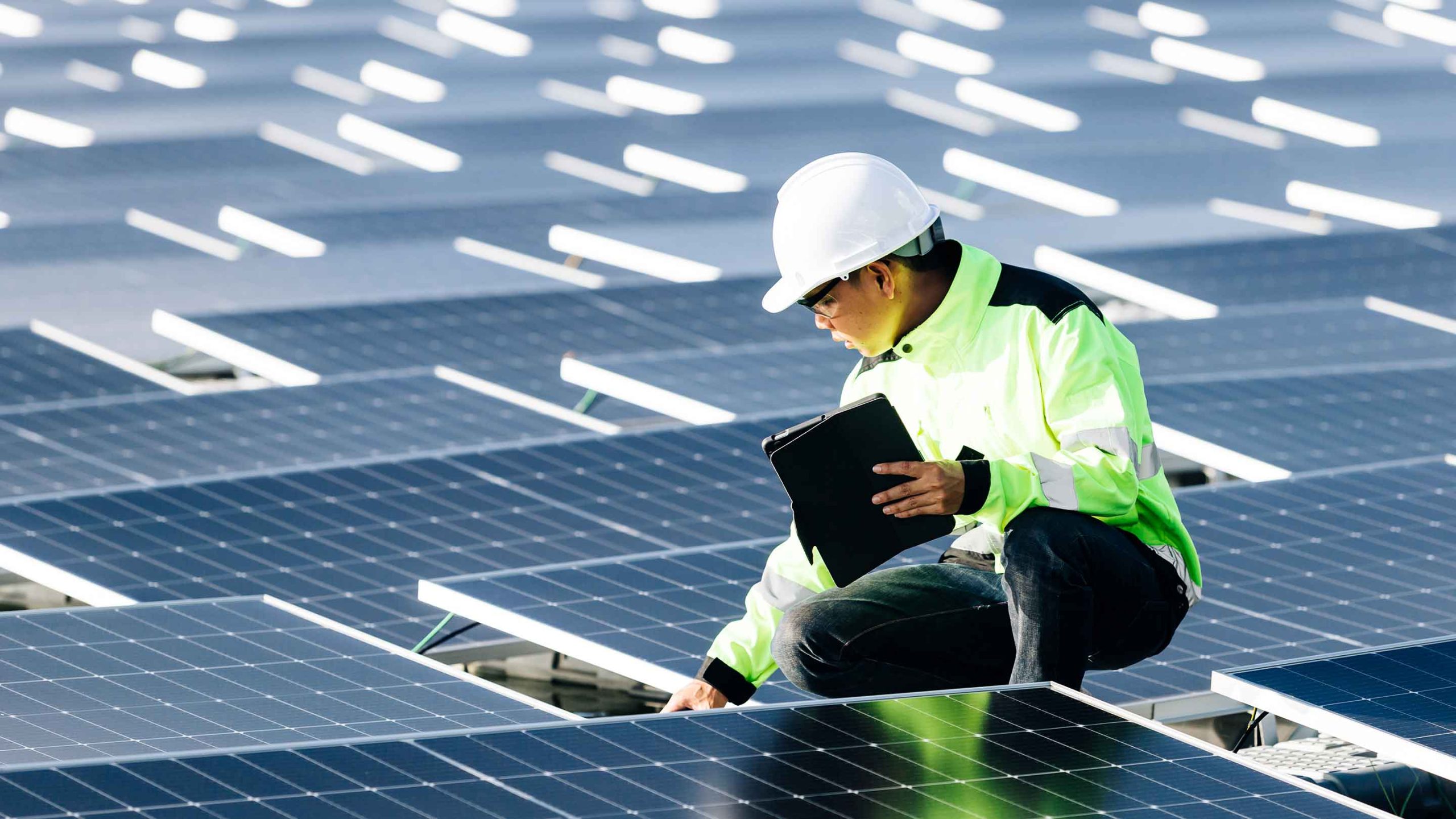 The Future of Energy: Business Opportunities and Sustainability
