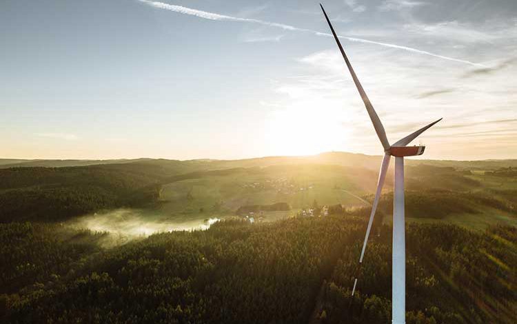Wind Energy: Pros, Cons, and Future Potential