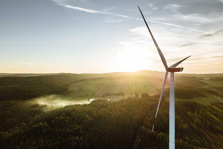 Wind Energy: Pros, Cons, and Future Potential